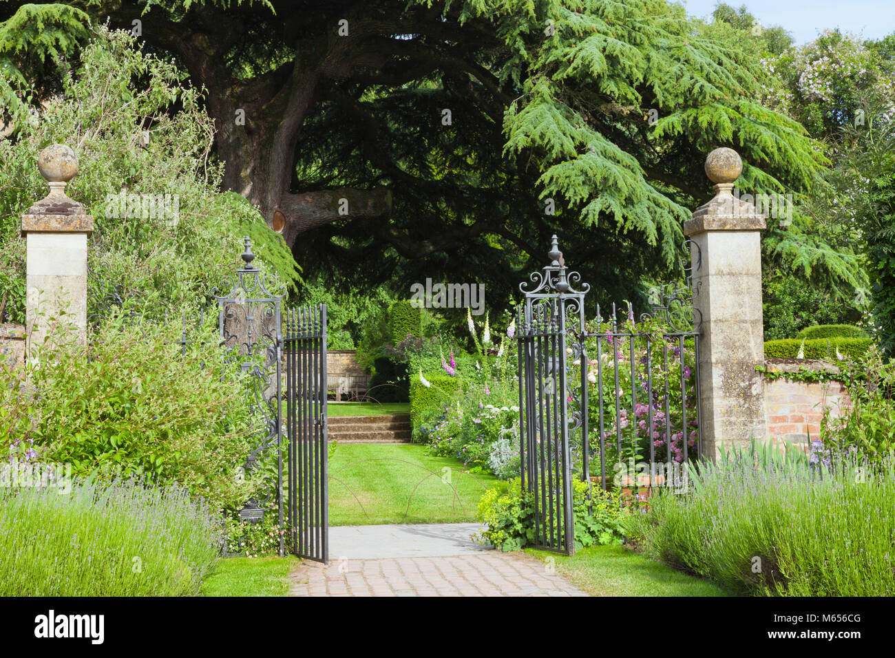 Iron gate to an elegant landscaped garden with purple lavender, pink roses, foxgloves, topiary shrubs, under branchy tree . Stock Photo