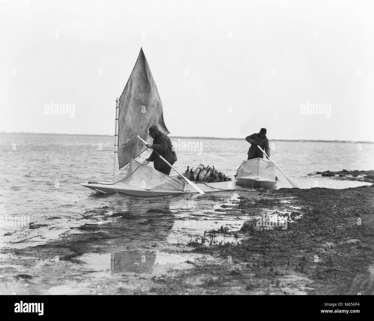 1920s 1930s TWO MEN IN SNEAKBOX BOATS FILLED WITH DUCK DECOYS IN MARSHES PREPARING TO DUCK HUNT BARNEGAT BAY NEW JERSEY USA - d331 HAR001 HARS TOGETHERNESS 25-30 YEARS 30-35 YEARS 35-40 YEARS FREEDOM OCCUPATION ADVENTURE CANVAS STRATEGY CAREERS KNOWLEDGE RECREATION COOPERATION DECOYS NEW JERSEY FILLED HUNTERS MALES MID-ADULT MID-ADULT MAN PADDLING SNEAKBOX B&W BARNEGAT BAY BLACK AND WHITE MARSHES OCCUPATIONS OLD FASHIONED PERSONS Stock Photo