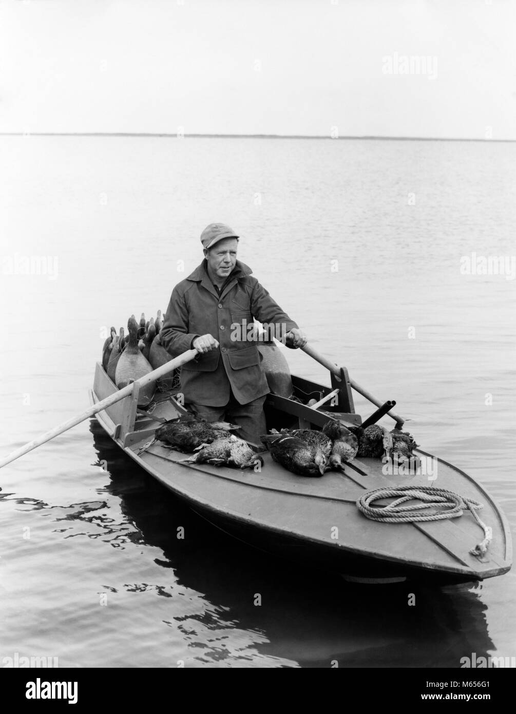 1950s MAN DUCK HUNTER WITH HARVEST ROWING BARNEGAT BAY SNEAK BOX BOAT NEW  JERSEY USA - d3802 HAR001 HARS ANIMALS HUNTER DEAD NOSTALGIA HUNT 30-35  YEARS 35-40 YEARS HISTORIC SUCCESS OLDSTERS HIGH