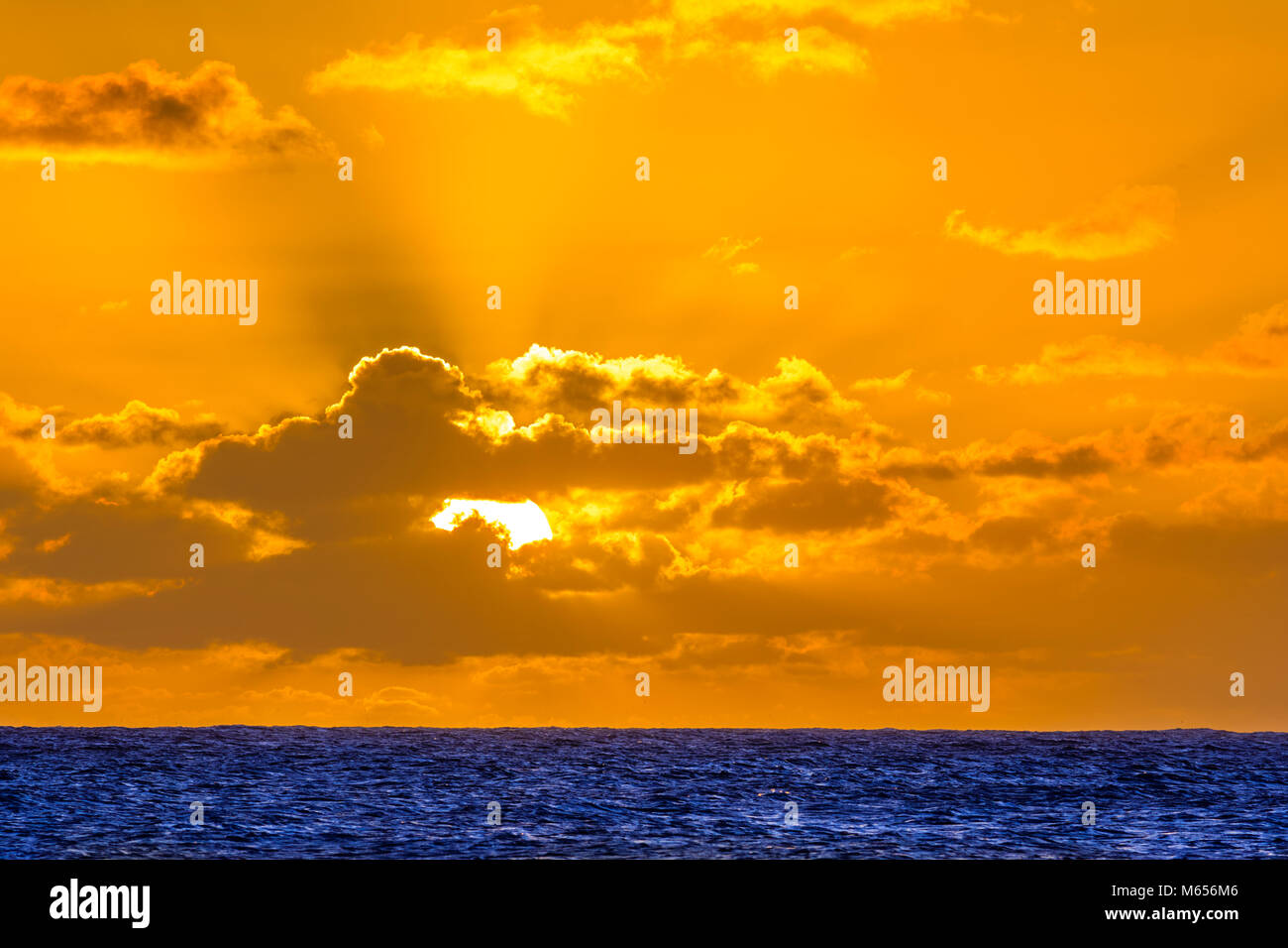 Coconut coast on Kauai, Hawaii Stock Photo Alamy