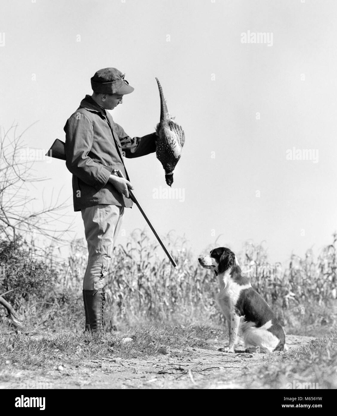 1940s YOUNG MAN HUNTER WITH SHOTGUN AND HUNTING DOG HOLDING BIRD PHEASANT - g487 HAR001 HARS FIREARMS GUNNING MALES MAMMAL MID-ADULT MID-ADULT MAN B&W BLACK AND WHITE CAUCASIAN ETHNICITY DOUBLE BAREL OLD FASHIONED PERSONS Stock Photo