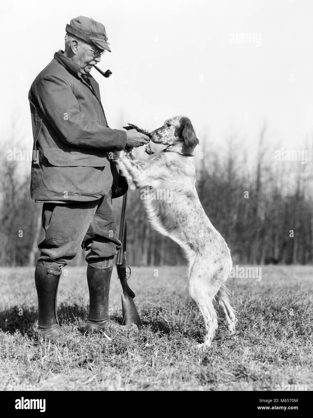 1920s SENIOR MAN HUNTER WITH SHOTGUN LETTING ENGLISH SETTER DOG SMELL BIRD - g530 HAR001 HARS SENIOR ADULT NOSTALGIA TOGETHERNESS 60-65 YEARS ONE ANIMAL MAMMALS OLDSTERS OLDSTER TOBACCO CANINES RECREATION LETTING ELDERS 70s ADULT COOPERATION UPLAND CANINE GUNNING MALES MAMMAL RETRIEVING SETTER B&W BLACK AND WHITE CAUCASIAN ETHNICITY DOUBLE BARREL OLD FASHIONED PERSONS Stock Photo