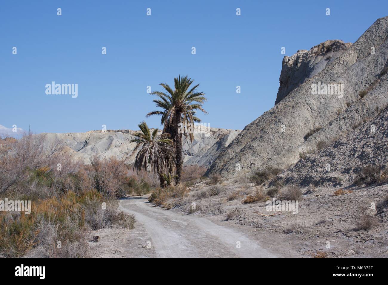 Views of Tabernas desert wilderness areas, Almeria, Spain Stock Photo