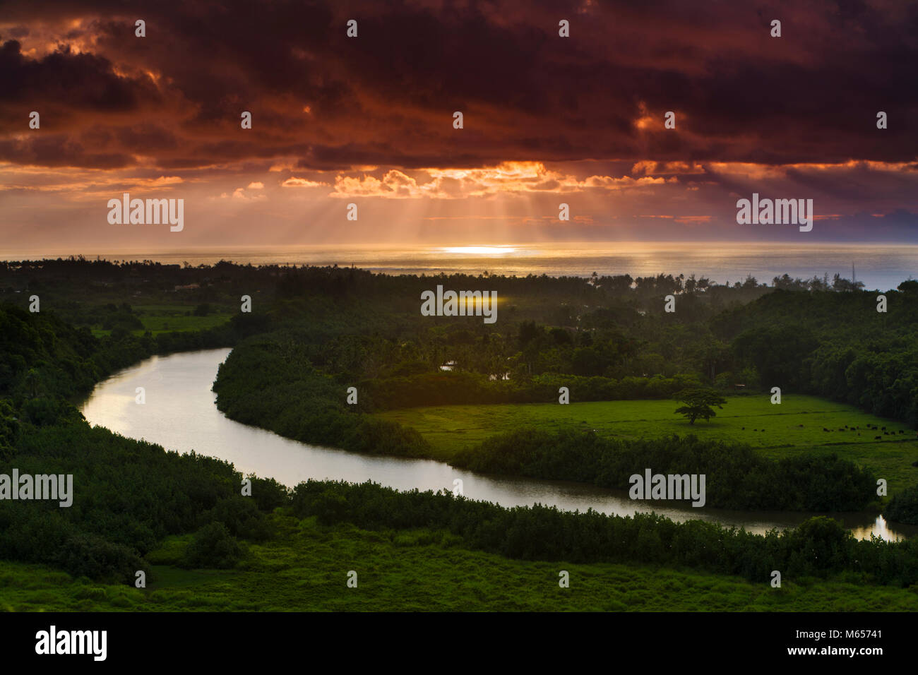 Coconut coast on Kauai, Hawaii Stock Photo Alamy