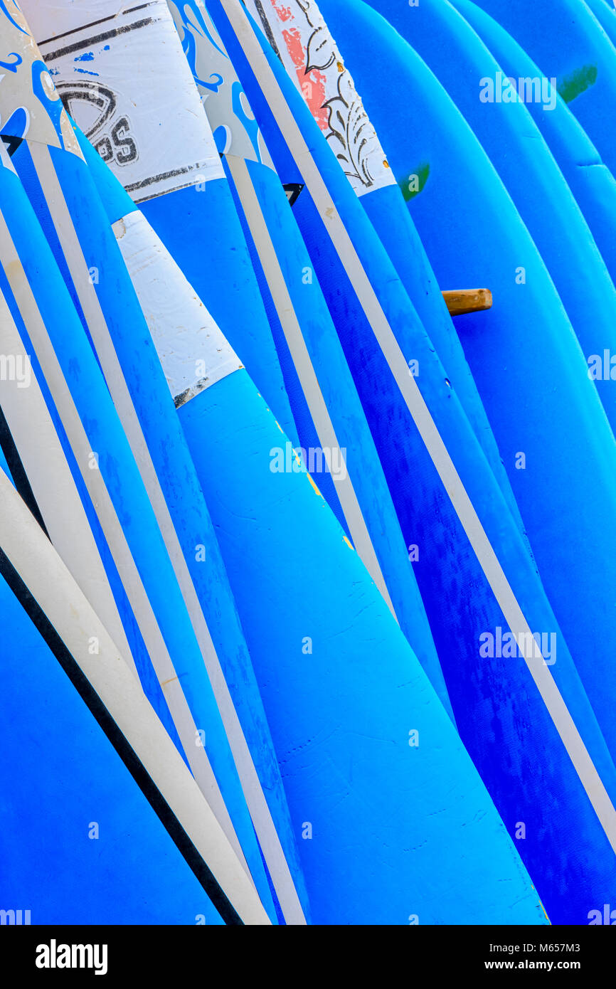 Surfing board rentals on Kauai Stock Photo Alamy