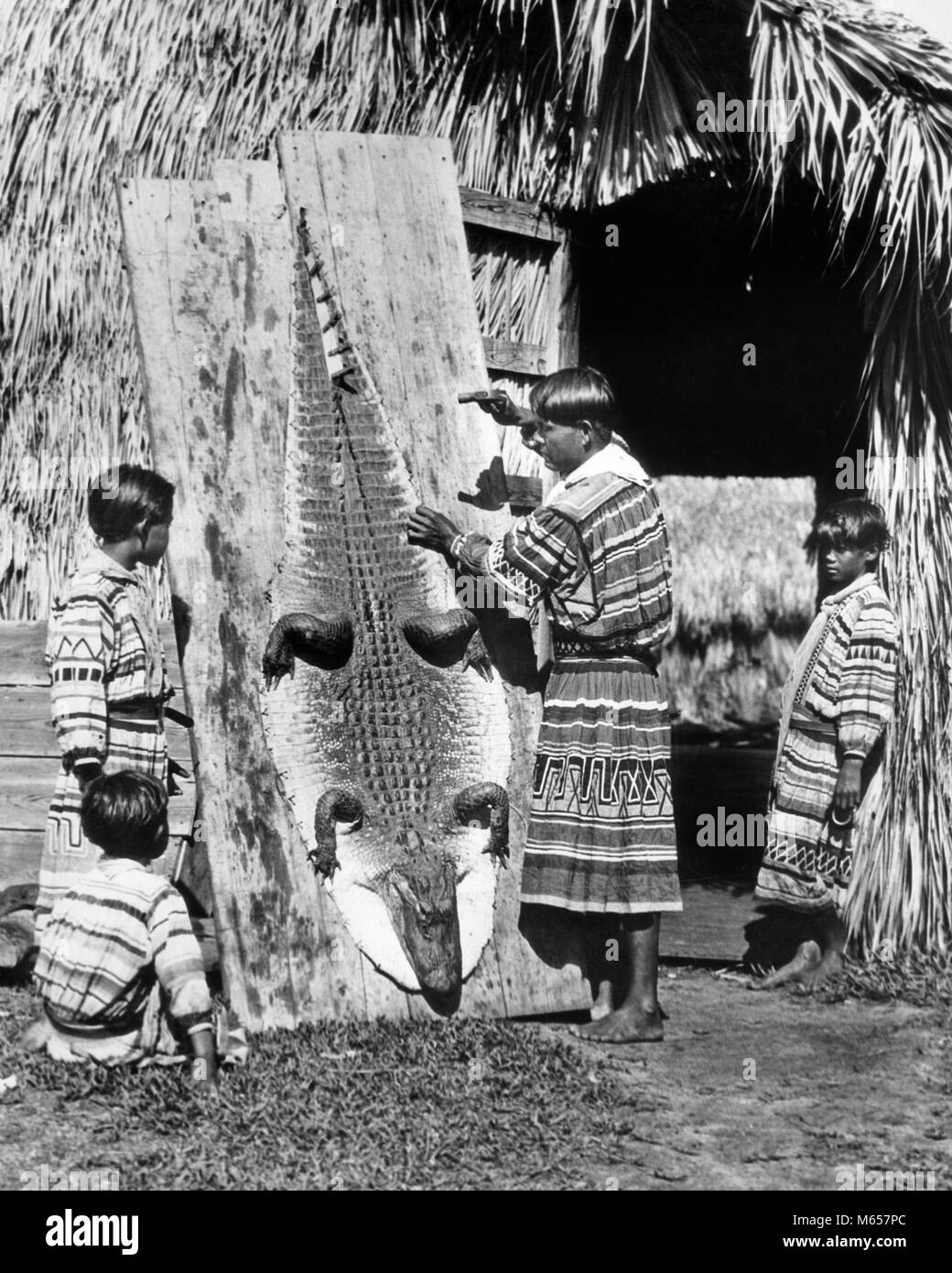 1920s 1930s SEMINOLE NATIVE AMERICAN INDIAN MAN FATHER SHOWING BOYS SONS HOW TO STRETCH AND TAN ALLIGATOR SKIN HIDE FLORIDA USA - i252 HAR001 HARS RURAL HOME LIFE COPY SPACE FRIENDSHIP HALF-LENGTH INDIANS UNITED STATES OF AMERICA HUNTER STRETCH SIBLINGS SKIN NOSTALGIA NORTH AMERICA TOGETHERNESS 10-12 YEARS 25-30 YEARS 30-35 YEARS 7-9 YEARS GOALS NORTH AMERICAN ONE ANIMAL ADVENTURE HIDE HOW KNOWLEDGE PATCHWORK PRIDE SIBLING NATIVE AMERICAN SMALL GROUP OF PEOPLE JUVENILES MALES MID-ADULT MID-ADULT MAN NATIVE AMERICANS SEMINOLE ALLIGATOR MISSISSIPIENSIS B&W BLACK AND WHITE INDIGENOUS Stock Photo