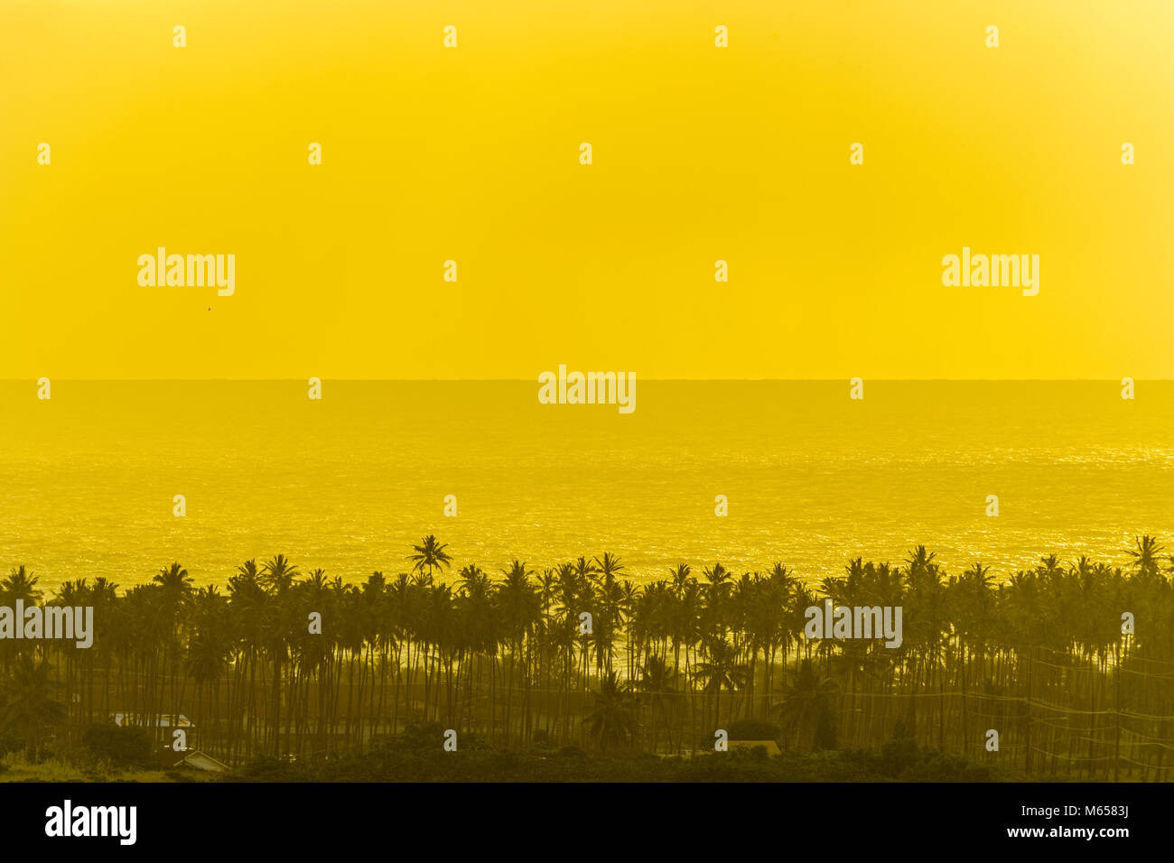 Coconut coast on Kauai, Hawaii Stock Photo Alamy