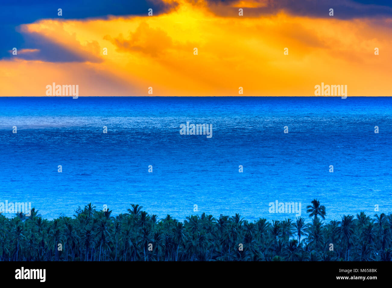 Coconut coast on Kauai, Hawaii Stock Photo Alamy