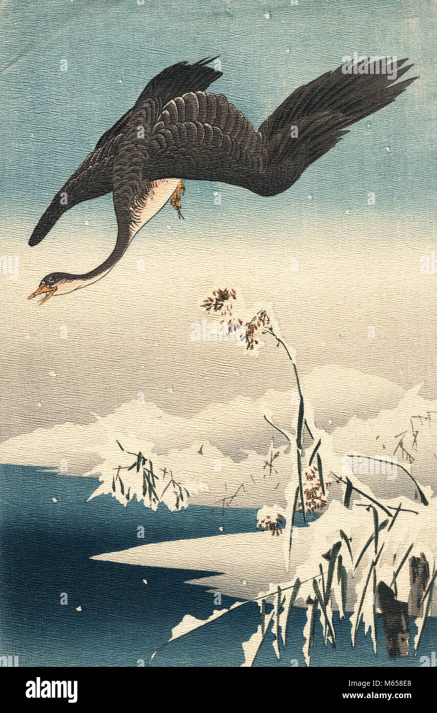 JAPANESE SYTLE WINTER SNOW SCENIC WITH BIRD GRAY GOOSE FLYING - ka9190 CPC001 HARS SYTLE Stock Photo