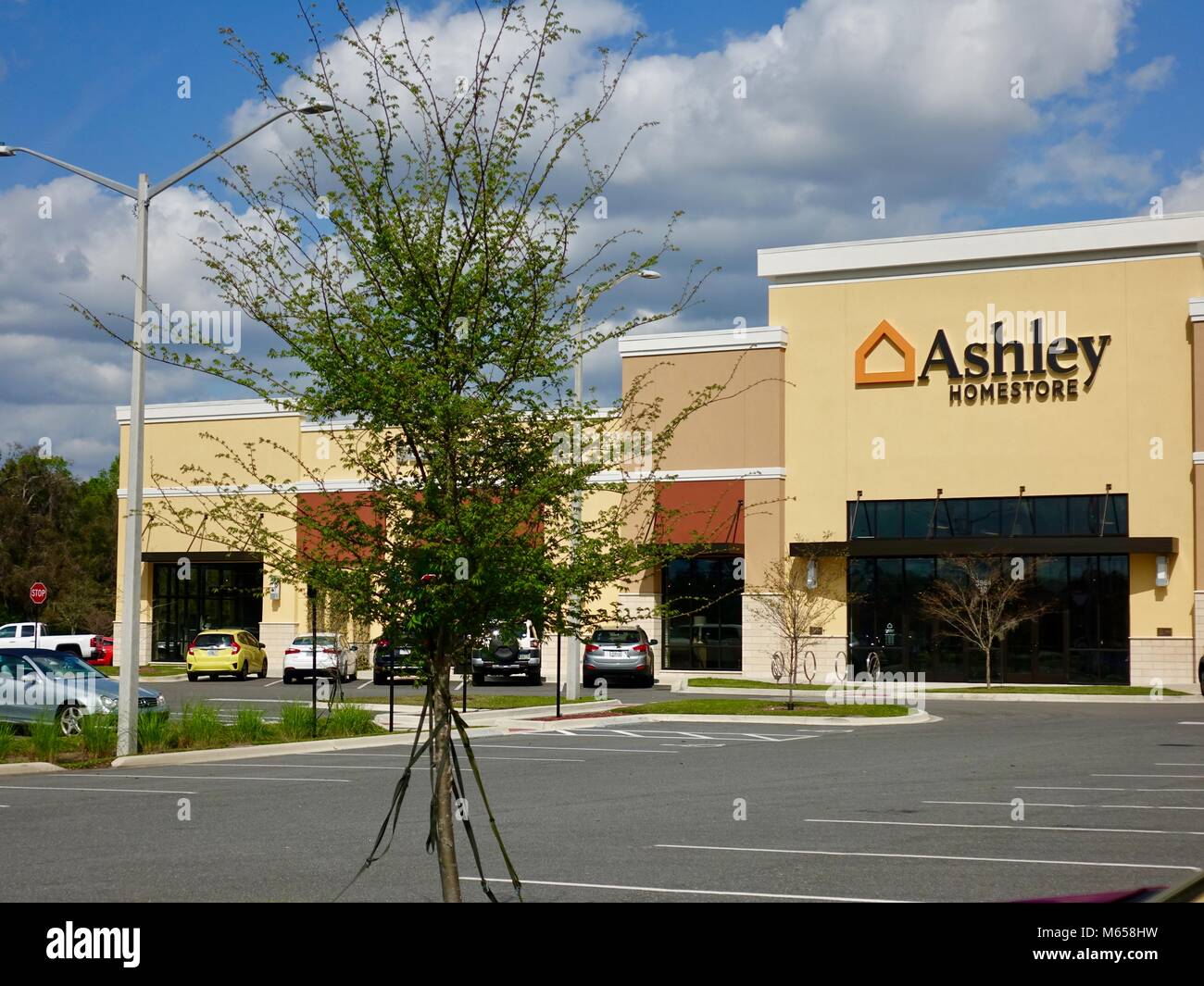 amc movie theater gainesville fl