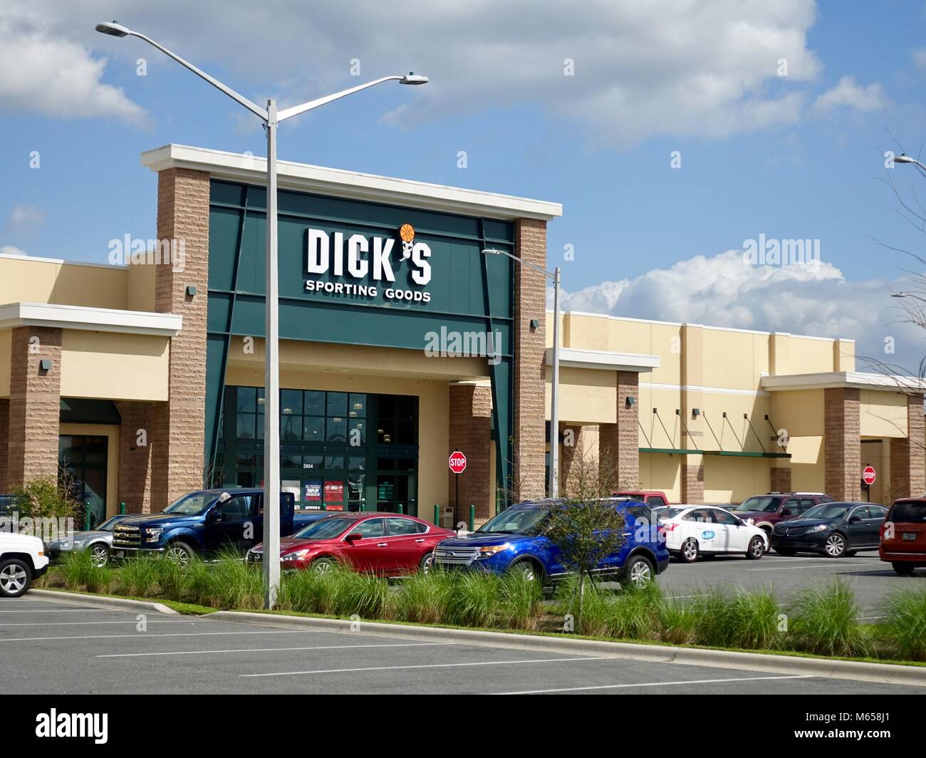 Consider, dicks sporting goods flourescent Something is. dicks sporting goods flourescent