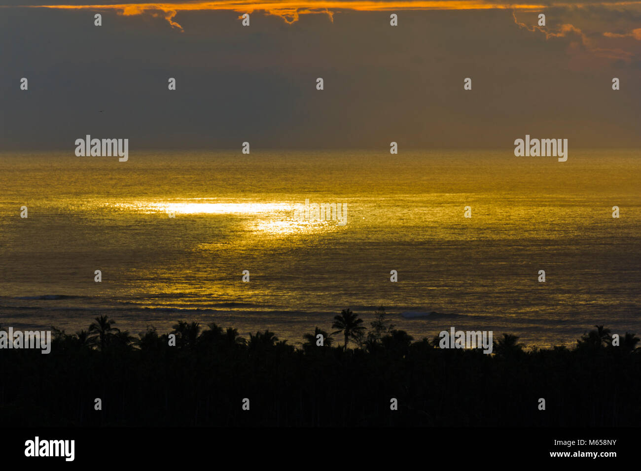 Coconut coast on Kauai, Hawaii Stock Photo Alamy