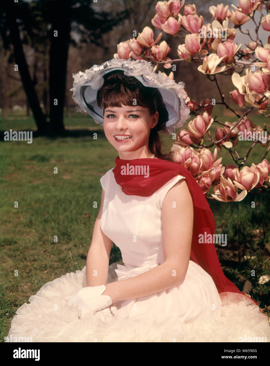 1960s YOUNG WOMAN SITTING BY BLOSSOMING MAGNOLIA TREE WEARING SPRINGTIME HAT RED SCARF WHITE GLOVES AND DRESS LOOKING AT CAMERA - kb5213 HAR001 HARS STYLISH SUBURBAN SPRING COLOR OLD TIME FIGURES OLD FASHION 1 JUVENILE STYLE YOUNG ADULT CAUCASIAN PLEASED JOY LIFESTYLE BEAUTIFUL FEMALES GROWNUP HEALTHINESS ONE PERSON ONLY COPY SPACE FULL-LENGTH HALF-LENGTH LADIES INSPIRATION SIT GROWN-UP TEENAGE GIRL SERENITY NOSTALGIA EYE CONTACT 16-17 YEARS 20-25 YEARS BRUNETTE YOUNGSTER HAPPINESS CHEERFUL LEISURE RELAXATION BLOSSOM 18-19 YEARS POSING SMILES JOYFUL TEENAGED HEAD-WARE SOUTHERN BELLE BLOSSOMS Stock Photo