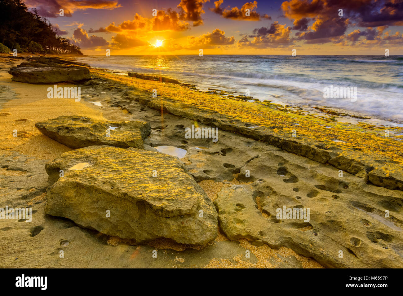 Coconut coast on Kauai, Hawaii Stock Photo Alamy