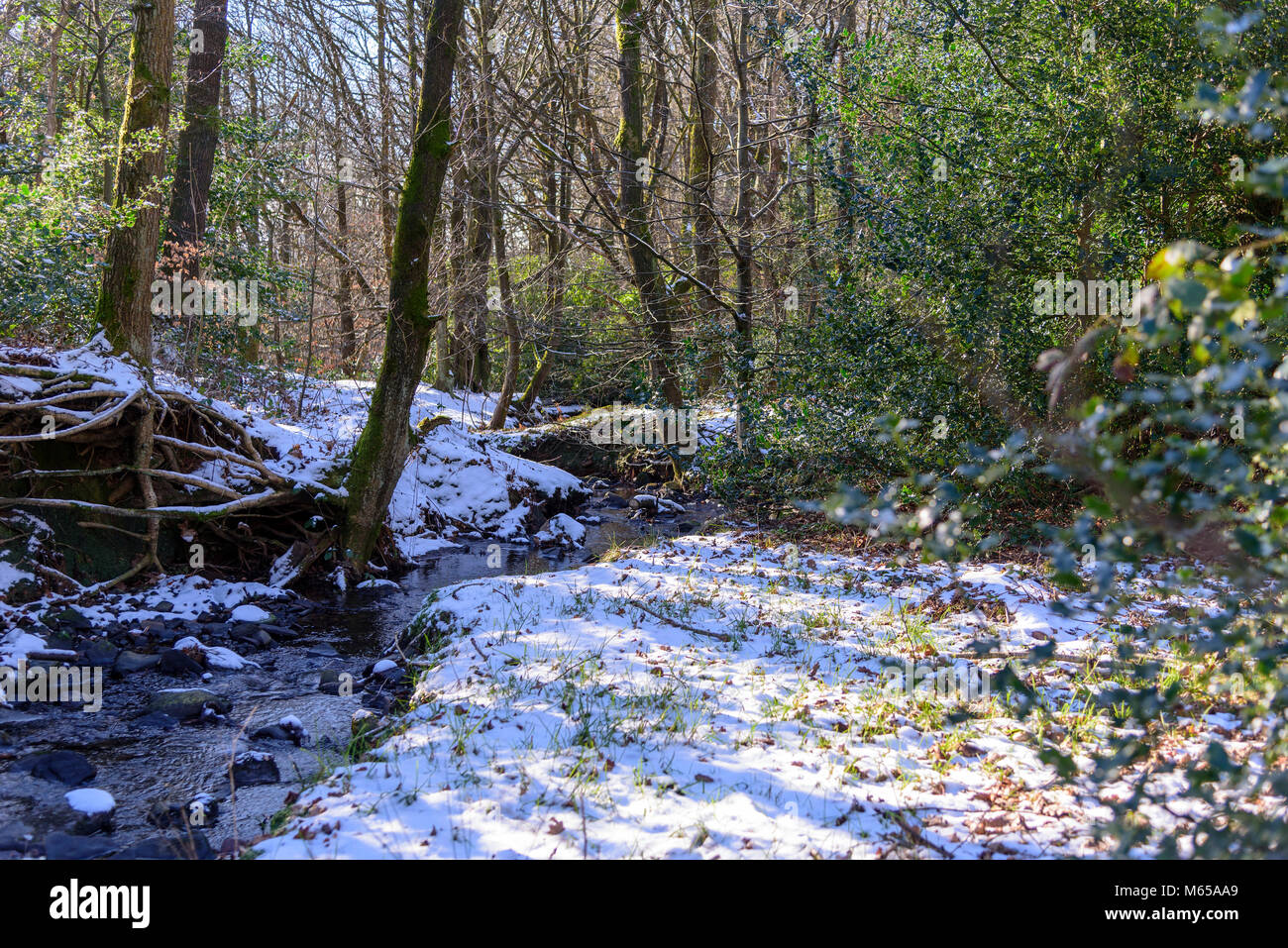 Snow winter day snowscene. Winter Hill Snow Snowscene Stock Photo