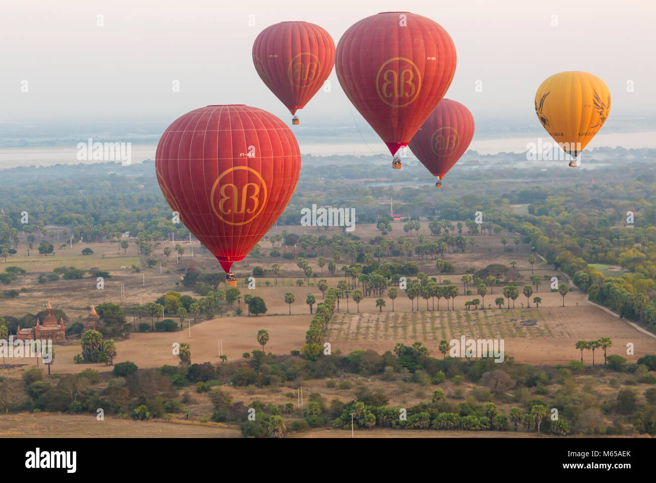 Golden Eagle Balloon Stock Photos Golden Eagle Balloon