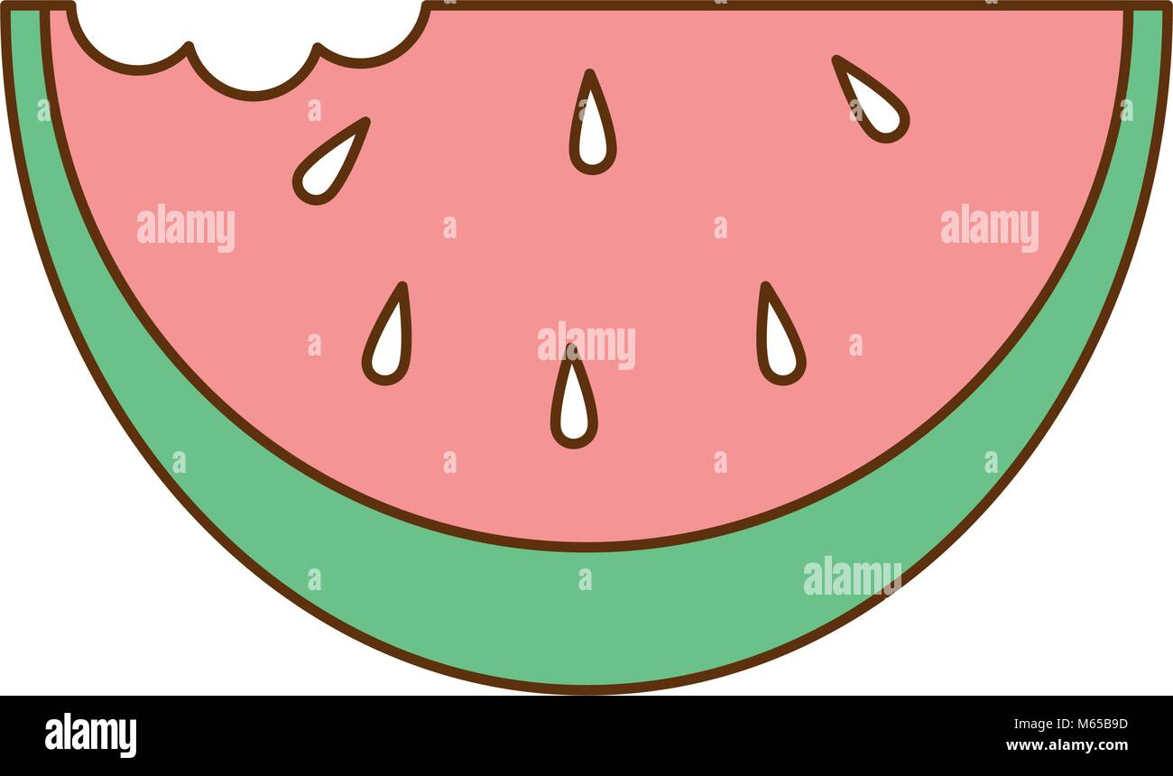 fresh watermelon isolated icon vector illustration design Stock Vector ...