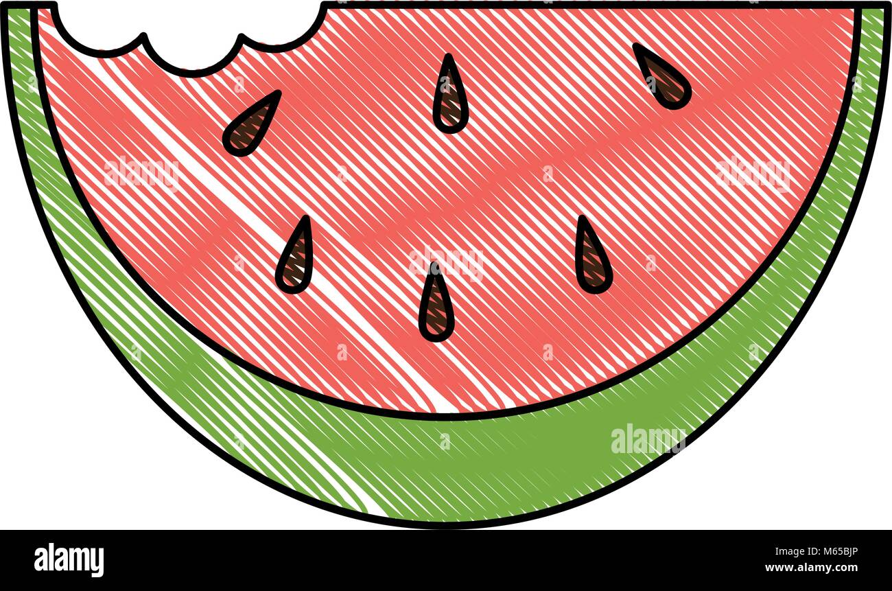fresh watermelon isolated icon vector illustration design Stock Vector ...