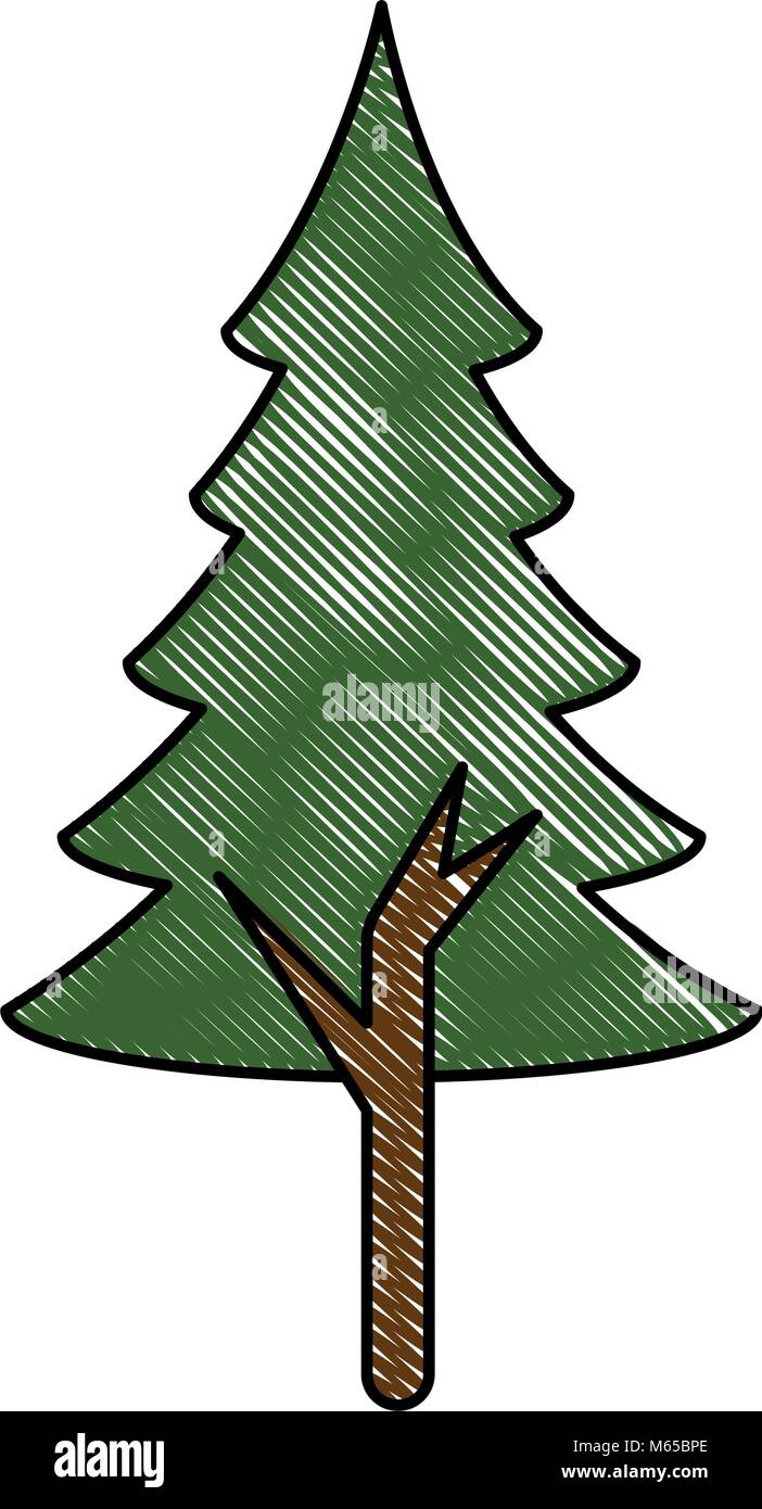 pine tree plant isolated icon vector illustration design Stock Vector ...