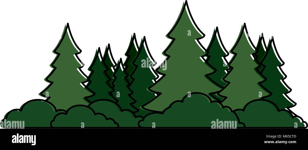 pine forest scene icon vector illustration design Stock Vector Image ...