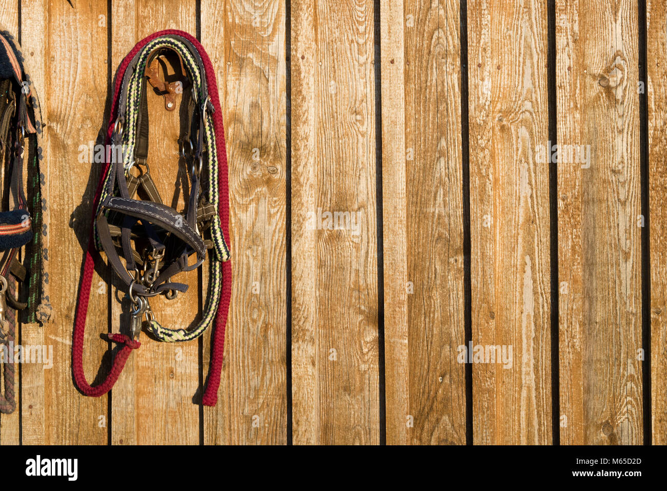 Bridle horse hanging on a wooden wall. Stock Photo