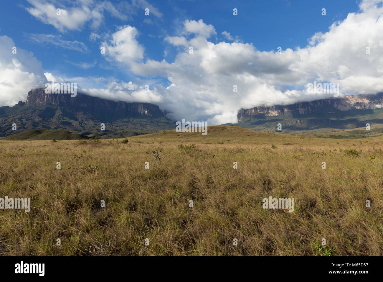 Mount Roraima and Kukenan in Venezuela, Canaima National Park. Stock Photo