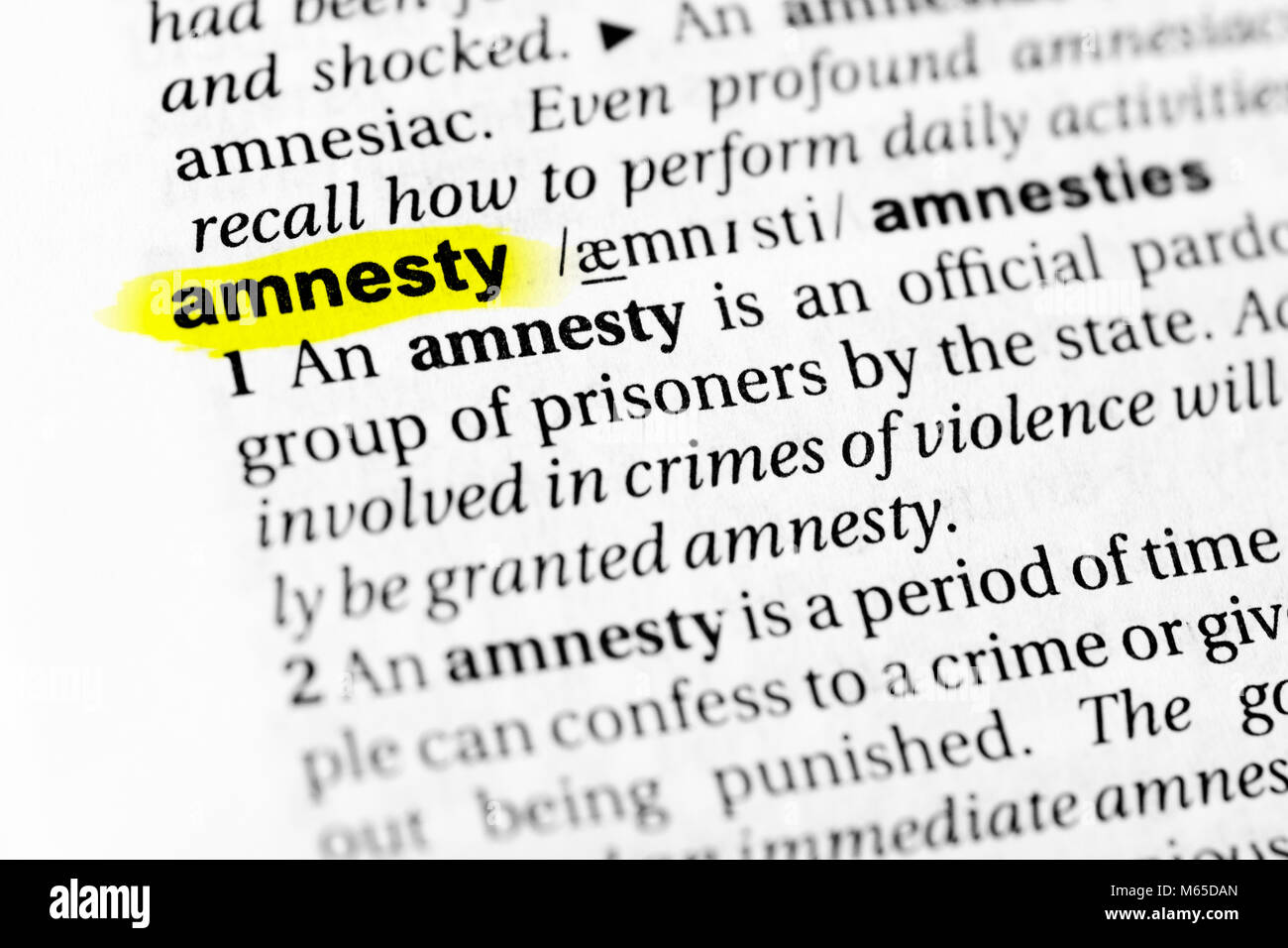 Highlighted English word "amnesty" and its definition in the dictionary