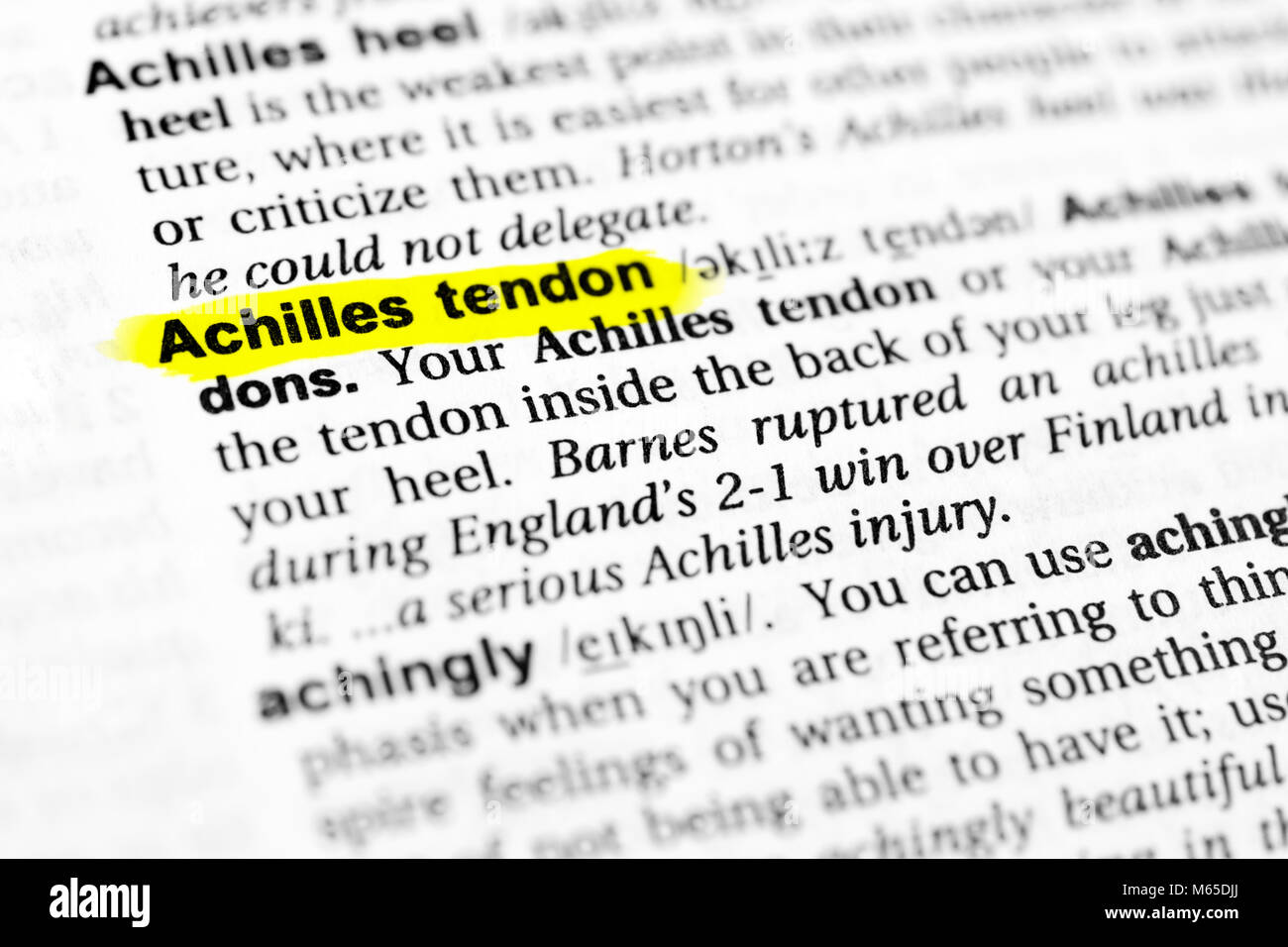 Highlighted English word "achilles tendon" and its definition in the