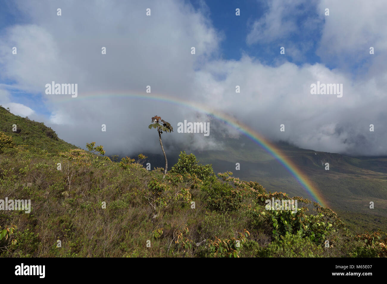Rainbow in the Canaima National Park. Stock Photo