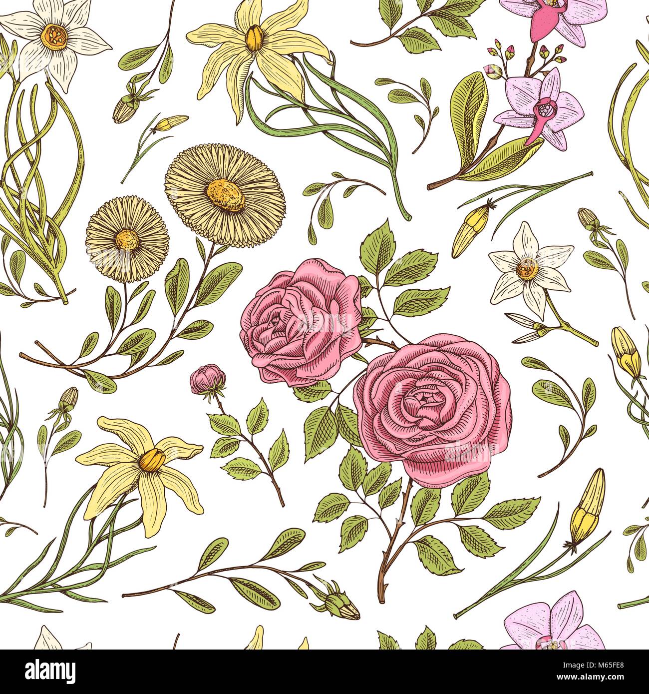 Seamless pattern. Roses with leaves and buds. Wedding botanical flowers ...