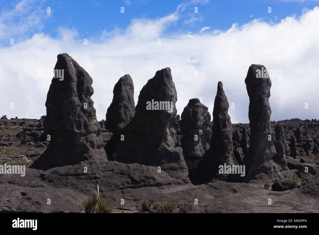 Rock formations, Kukenan Tepui near Mount Roraima, Canaima National Park. Stock Photo