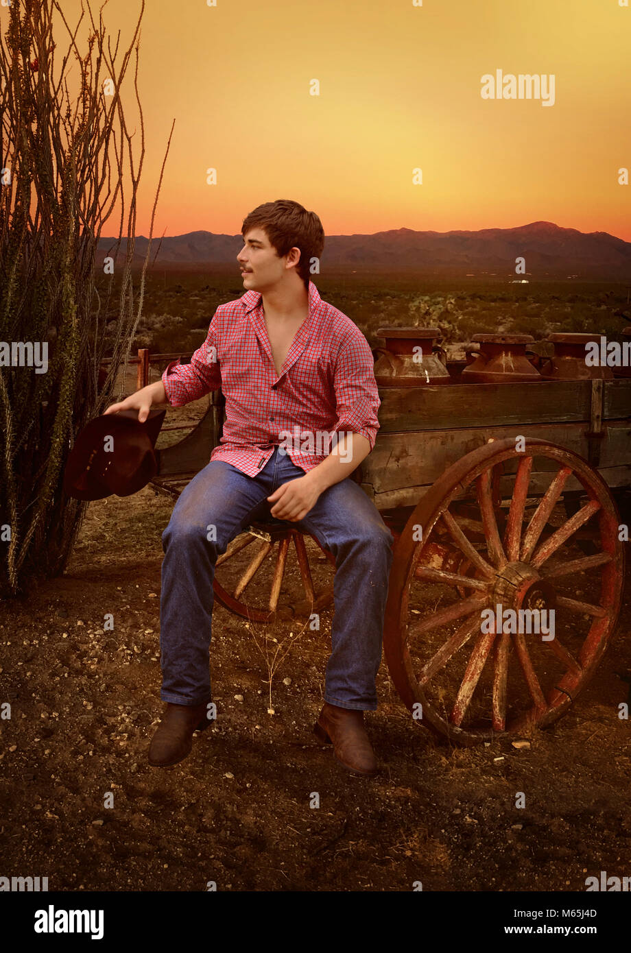 Vintage image of handsome cowboy in jeans and checked shirt antique wagon on a ranch at sunset Stock Photo