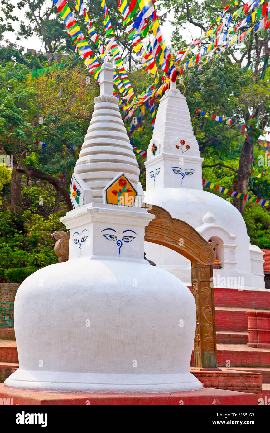 White stupas in Swayambhunath Monkey temple , Kathmandu, Nepal Stock ...