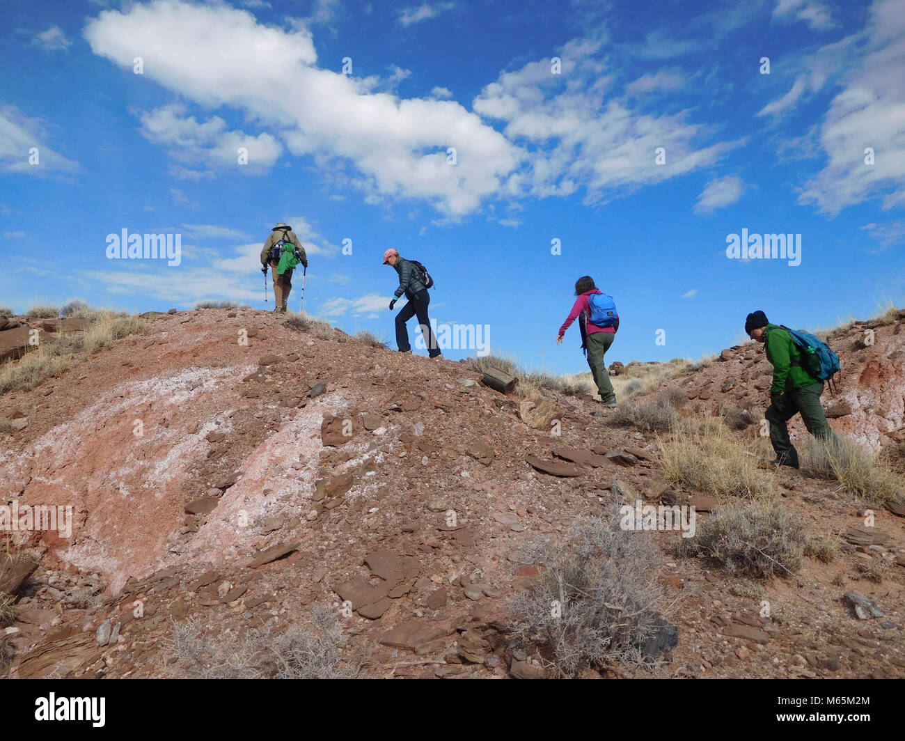 Petrified forest loop hi-res stock photography and images - Alamy