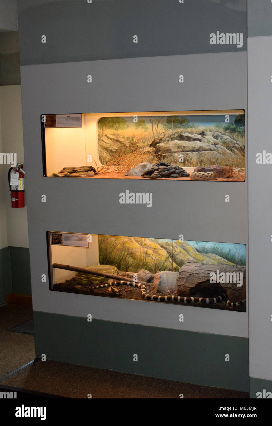 Sulphur creek nature center hires stock photography and images Alamy
