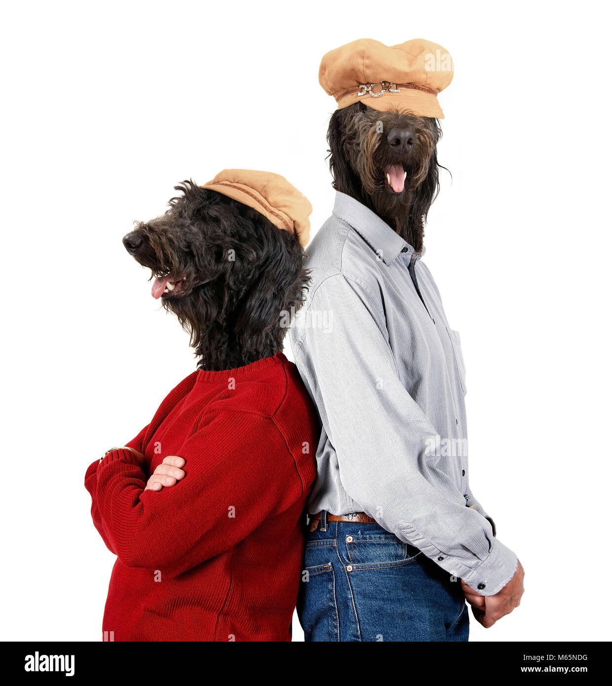 Dog Heads On Human Bodies