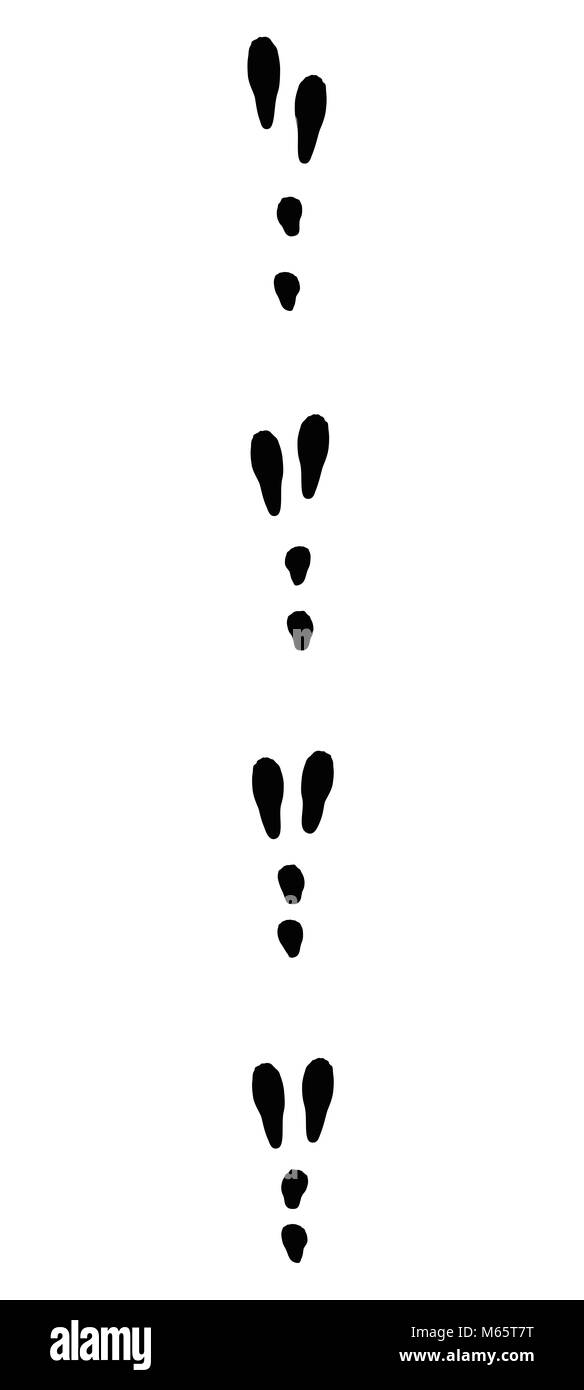 Rabbit tracks. Typical footprints when running - black icon illustration on white background. Stock Photo