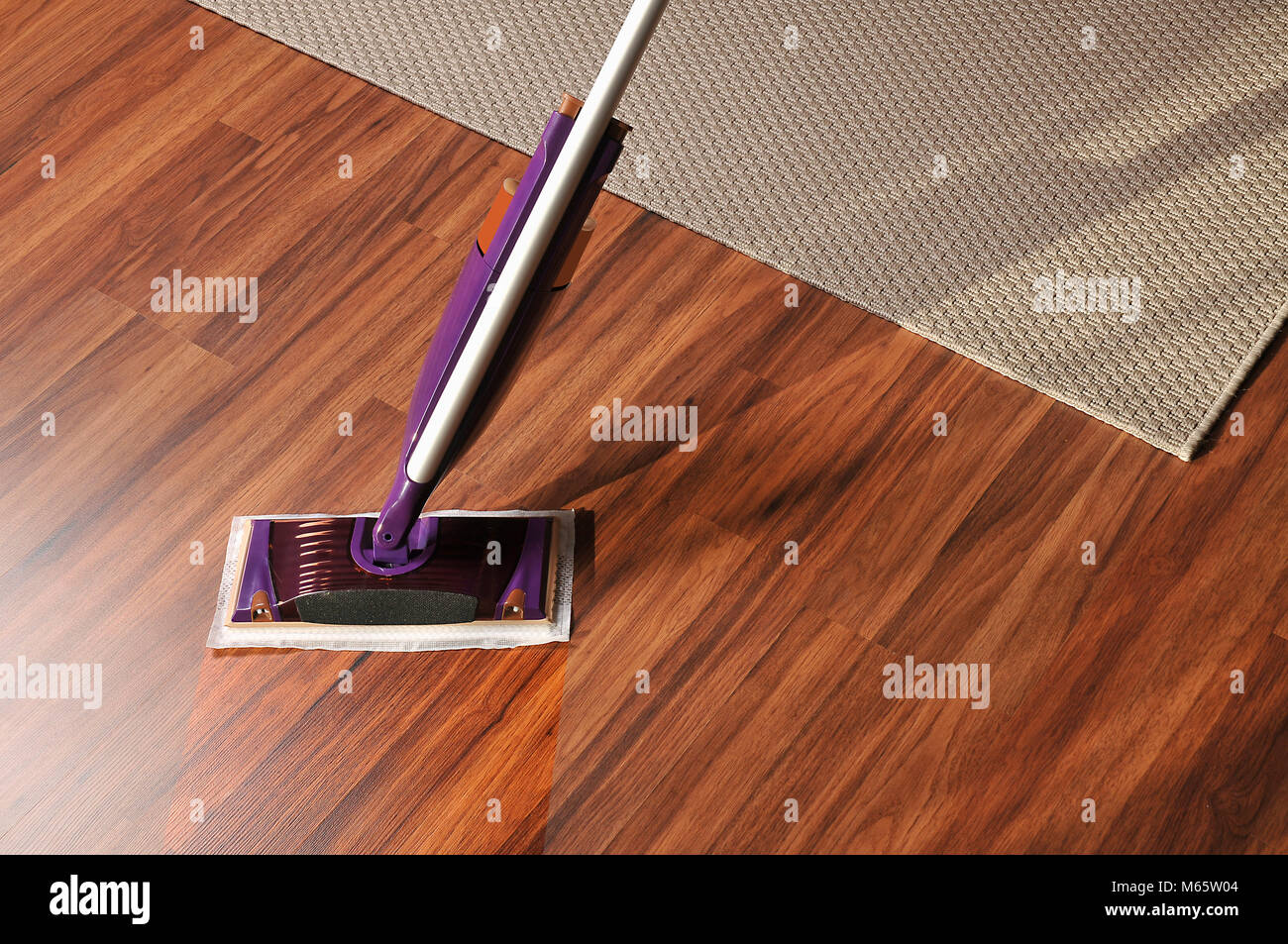 Modern Mop For Cleaning Wooden Floor From Dust Cleaning Service