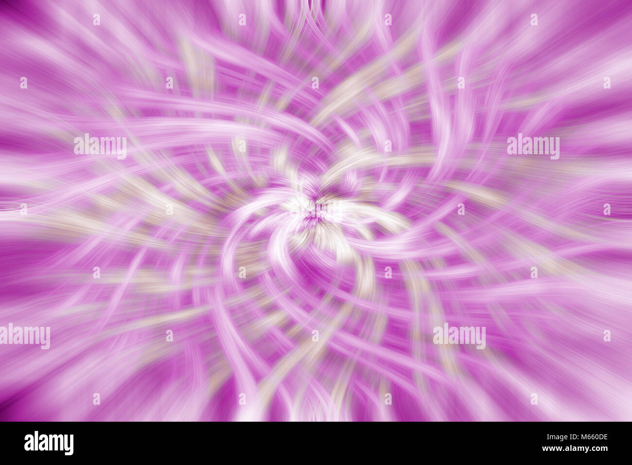 Colorful computer generated abstract pink background in floral shape Stock Photo