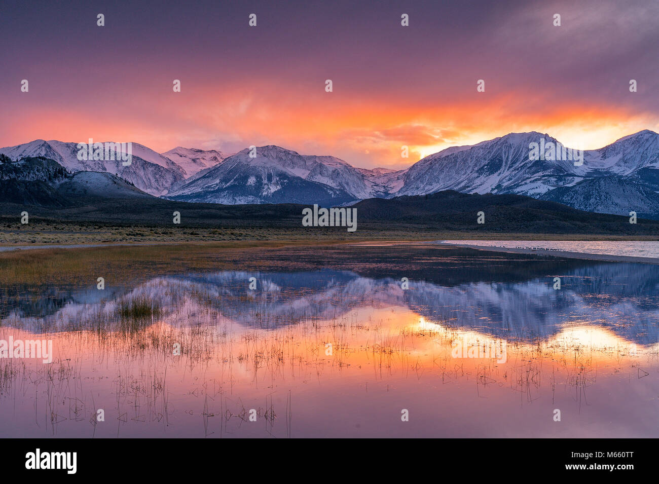 Sunset,  Wetlands, Eastern Sierra, Mono Basin National Forest Scenic Area, Inyo National Forest , California Stock Photo