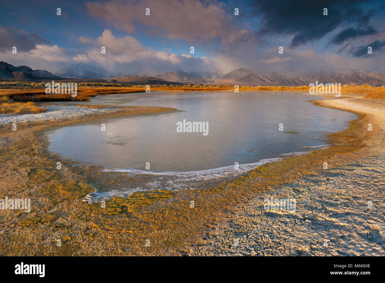 Frozen Wetlands, Mono Lake, Mono Basin National Forest Scenic Area, Inyo National Forest, Eastern Sierra, California Stock Photo