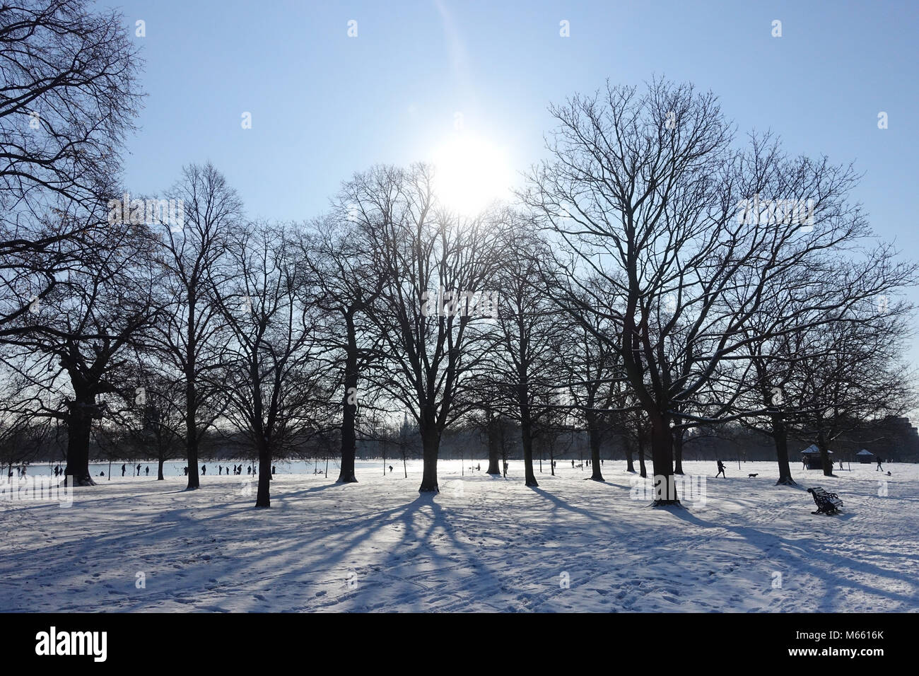 View of silhouetted trees in Kensington Gardens London casting long shadows on snow from the Beast from the East cold spell in February 2018 Stock Photo