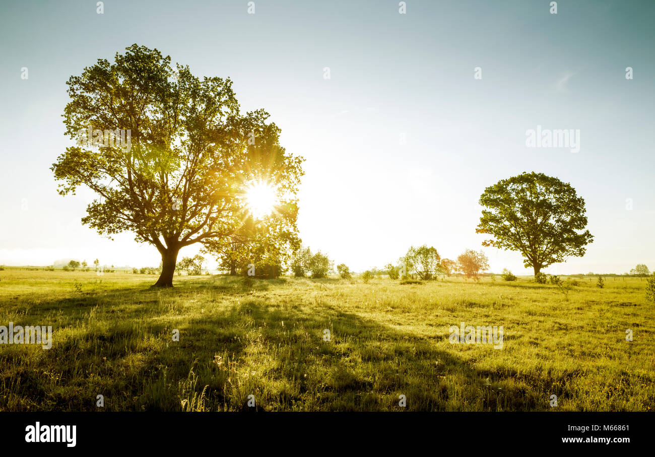 Beautiful morning - new day concept Stock Photo