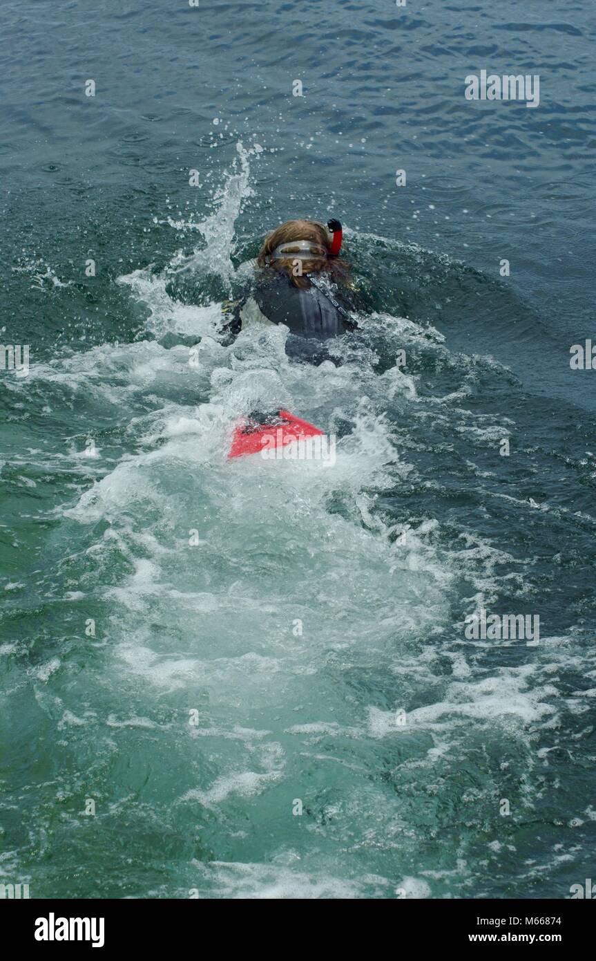 Young Male Snorkeller in Wetsuit Exploring the Submarine World of Beach,