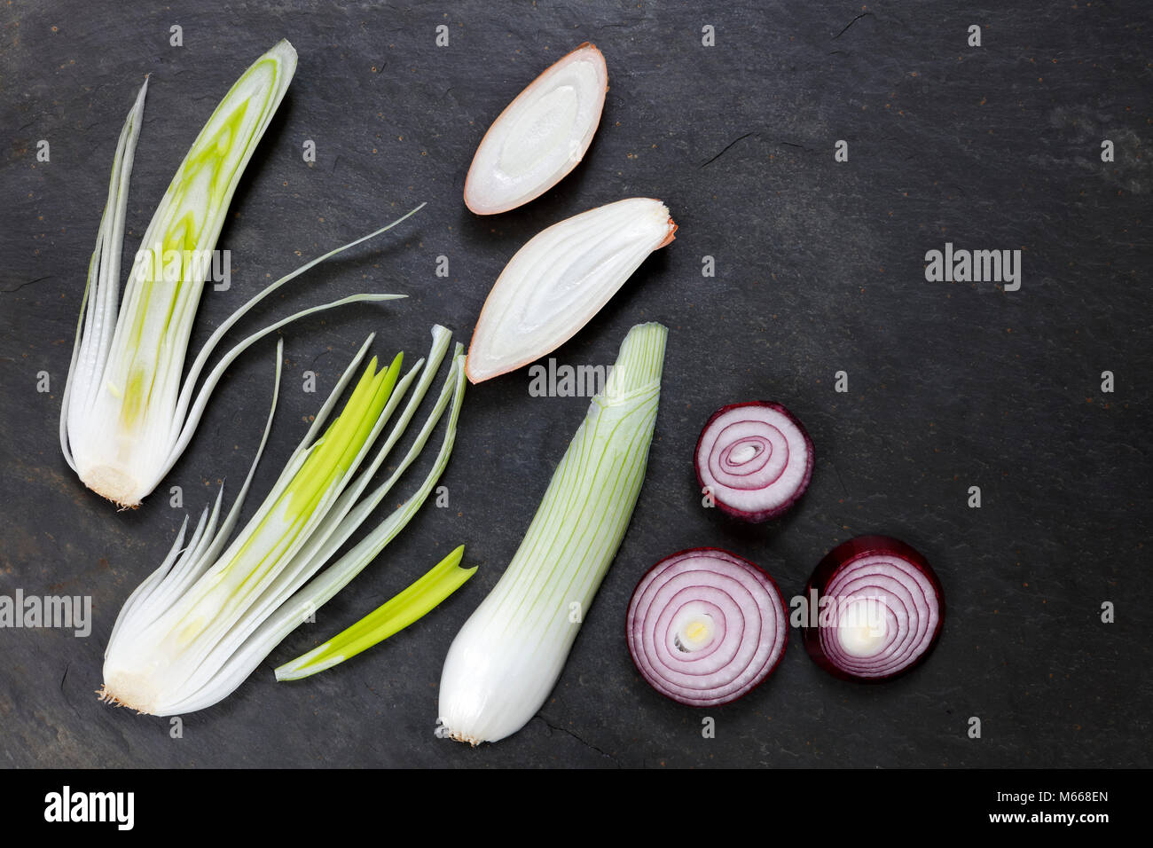 Large salad onions, red onions and shallots on slate with copy space