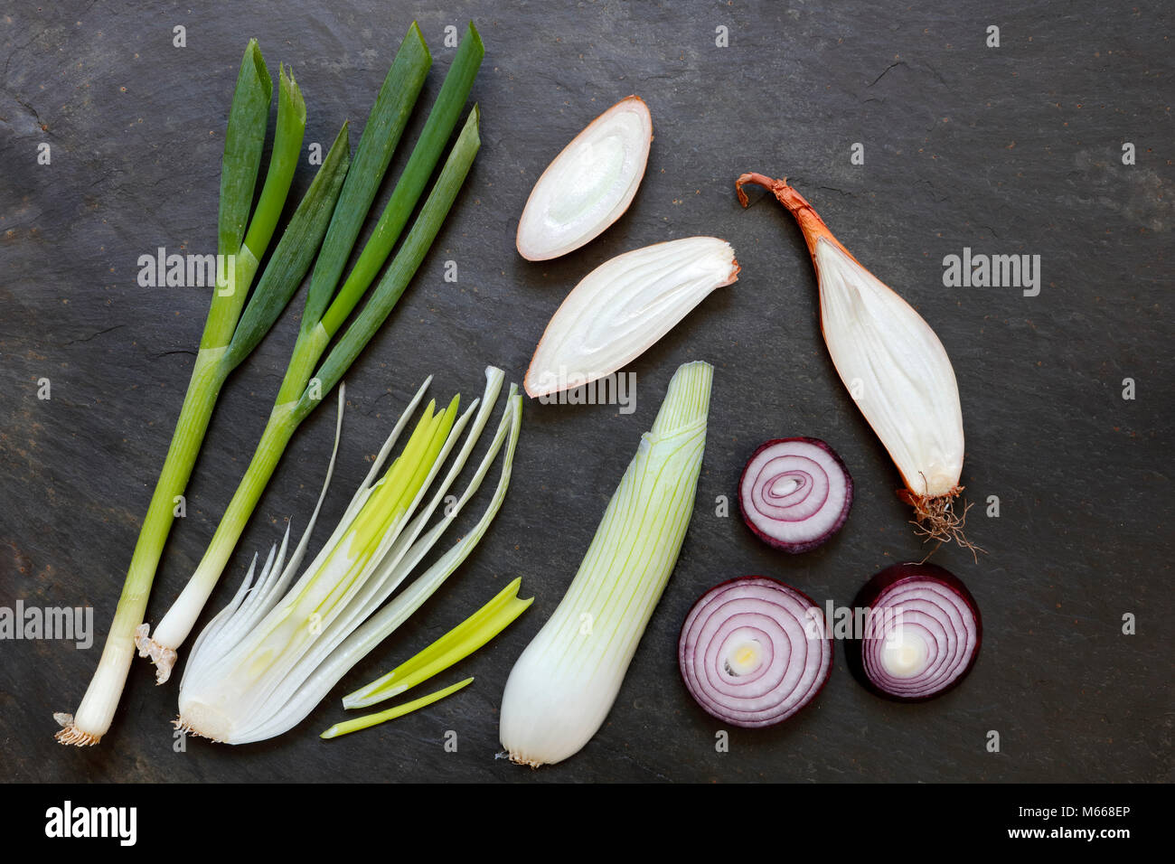 Scallions, French Echalion Shallots, large salad onions and red onions