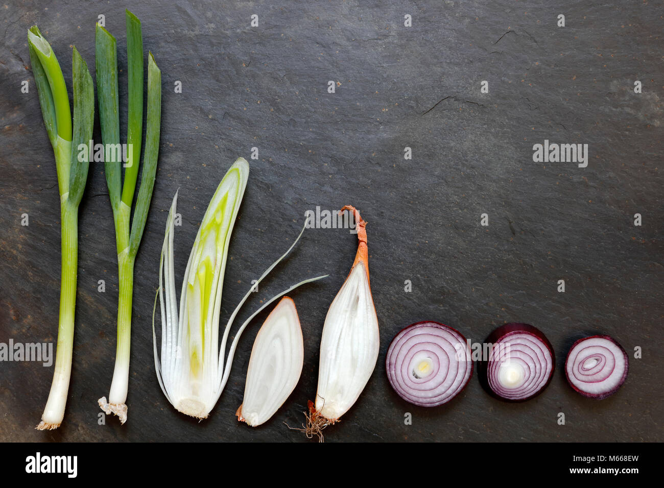 Best Echalion Shallots Royalty-Free Images, Stock Photos & Pictures