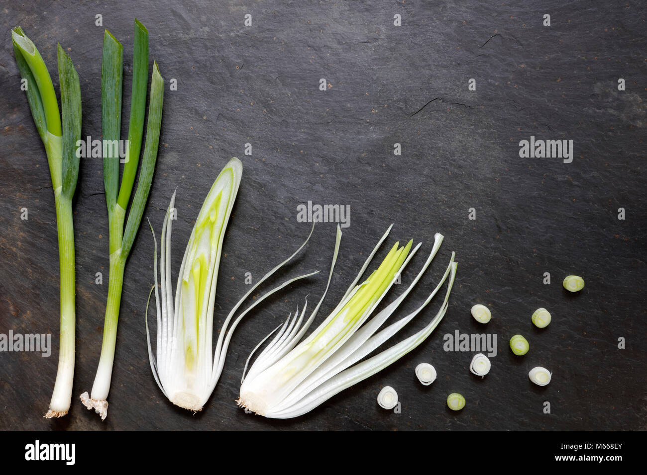 Scallions, French Echalion Shallots, large salad onions and red onions