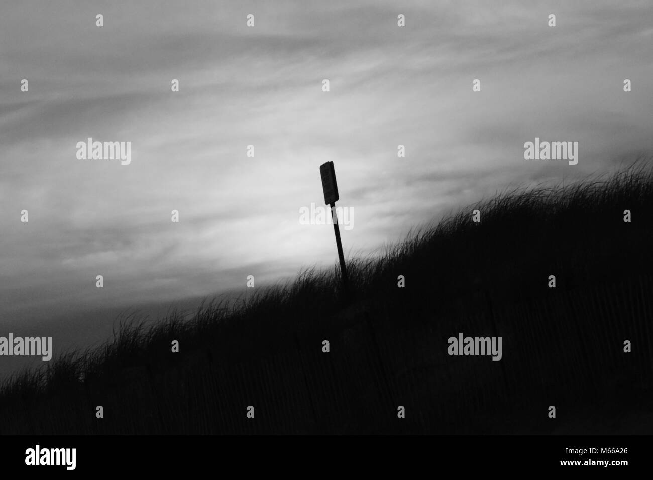 Black and White Photo At The Beach Stock Photo - Alamy