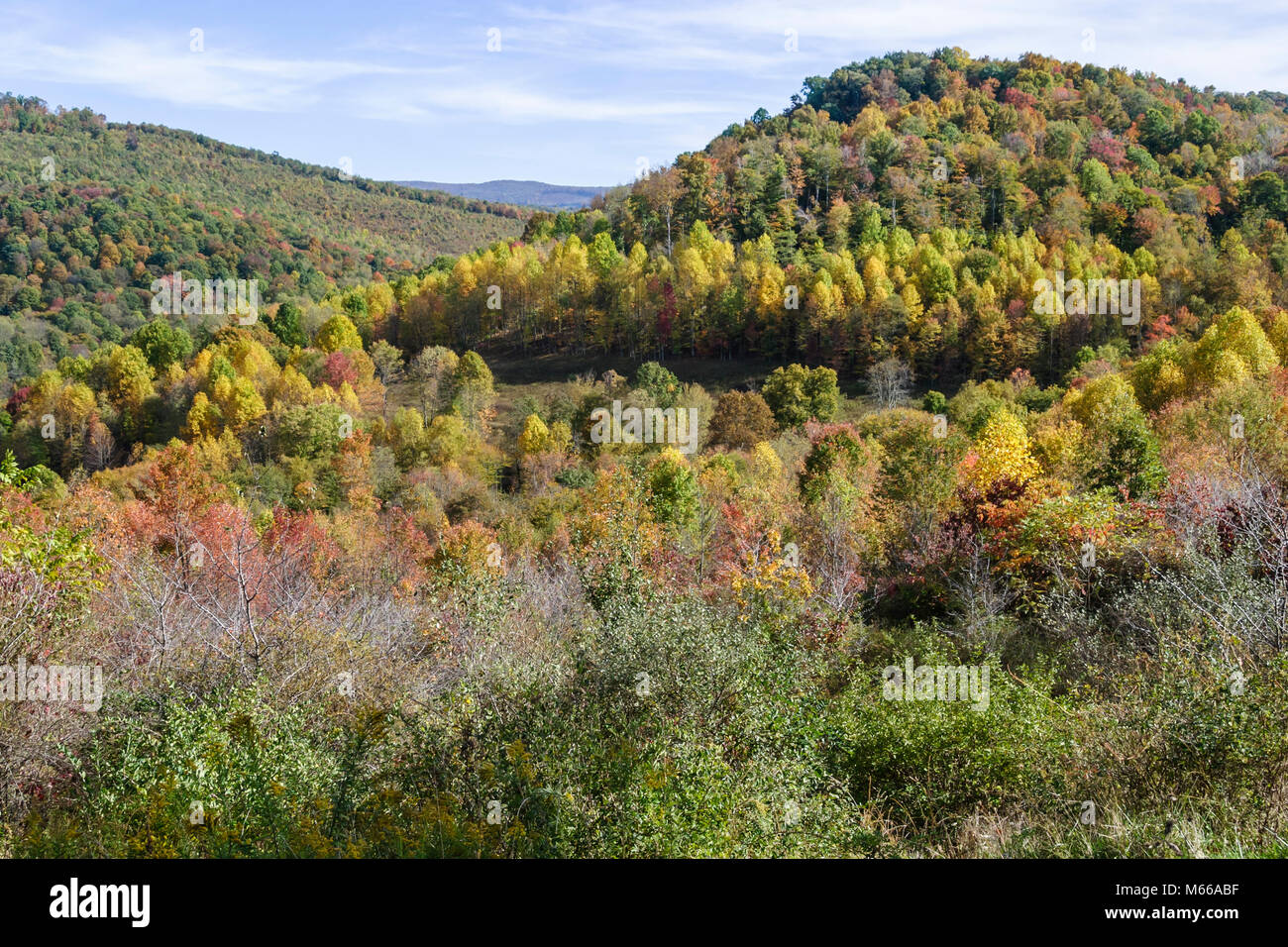 West Virginia,Appalachia Nicholas County,Nettie,trees,fall colors,leaf changing,autumn,season,trees,weather,Allegheny Mountains,WV0410070044 Stock Photo